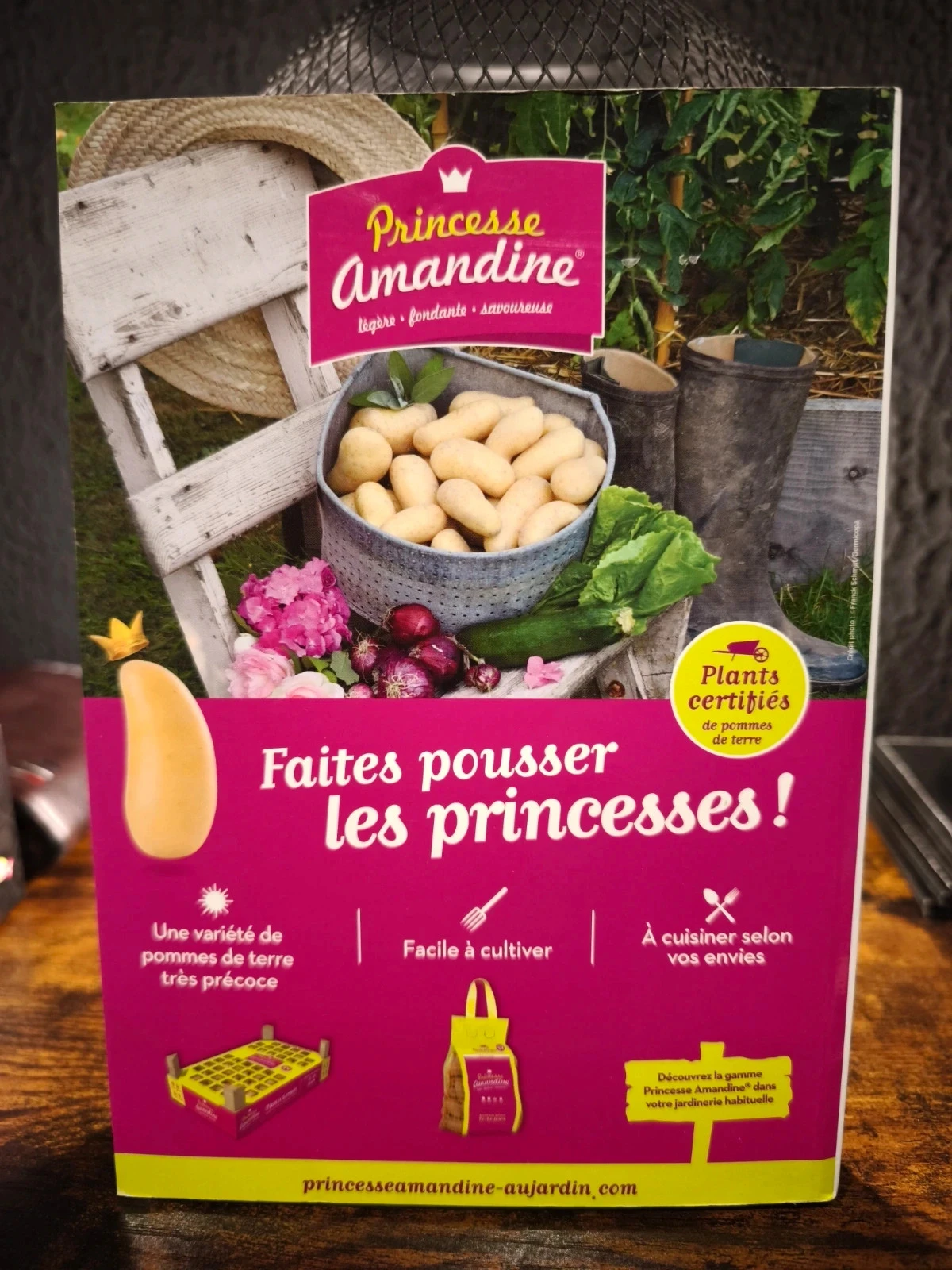 Almanaque 2024 – photo 2